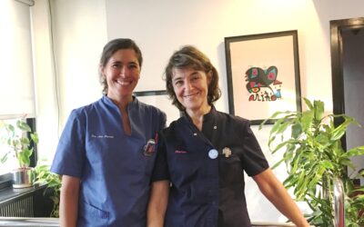 Prevención en los implantes dentales, tema de la Reunión Anual de Sepes